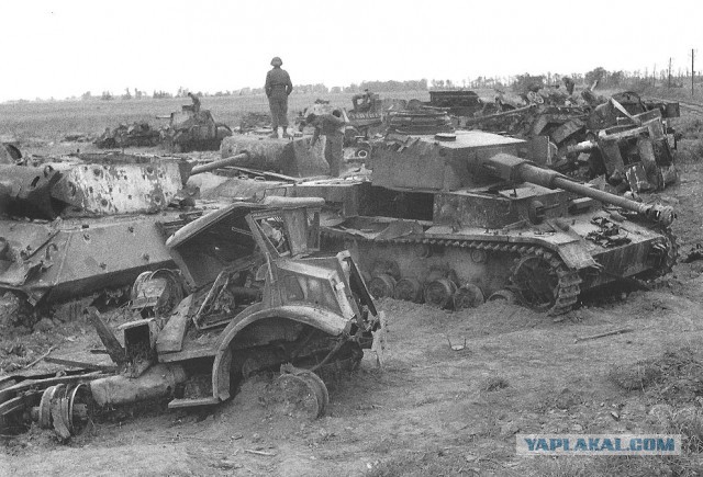 Wargaming 12, WoT сотоварищи
