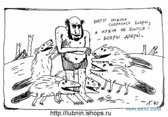 Добряки, плюсующие всех подряд