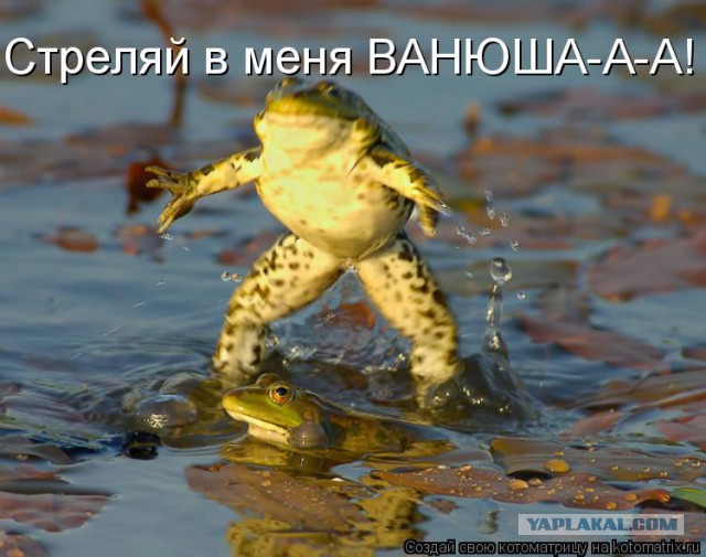 Чёрт, чёрт, чёрт!