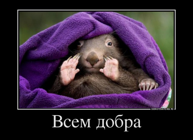 Демотиваторов пост