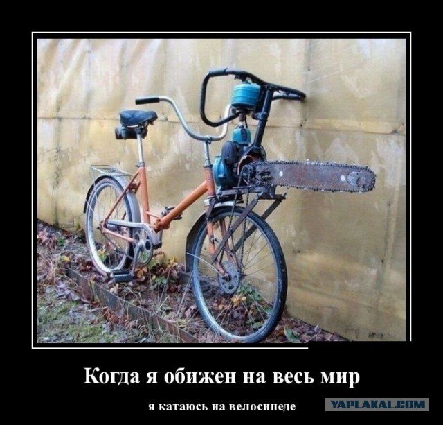 Демотиваторы