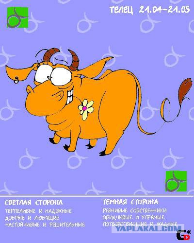 Как влюбляются знаки зодиака