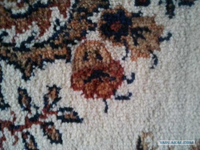 Ты снова упорот?