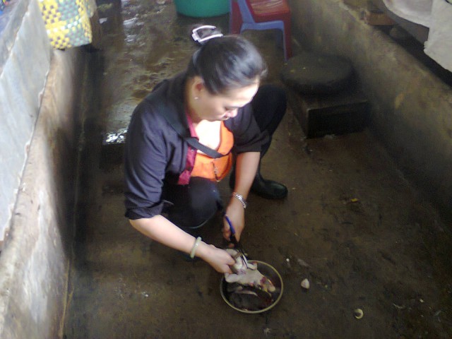 Việt Nam
