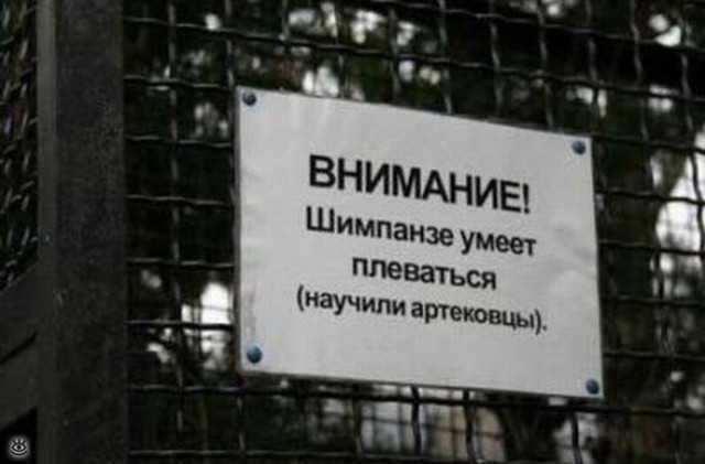Веселые картинки