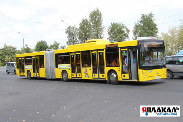 Автобусная авантюра от МАЗа, ставшая легендой