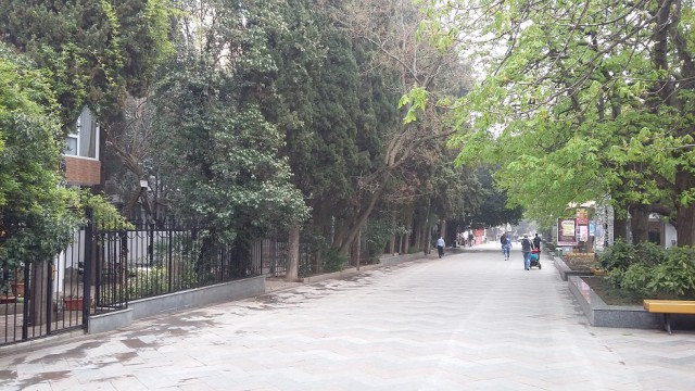 Саратов-Крым-Анапа