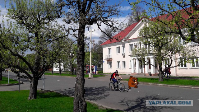 Подборка интересных и веселых фото