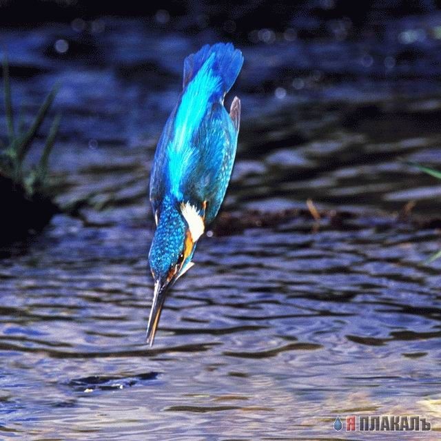 офигенная рыбалка