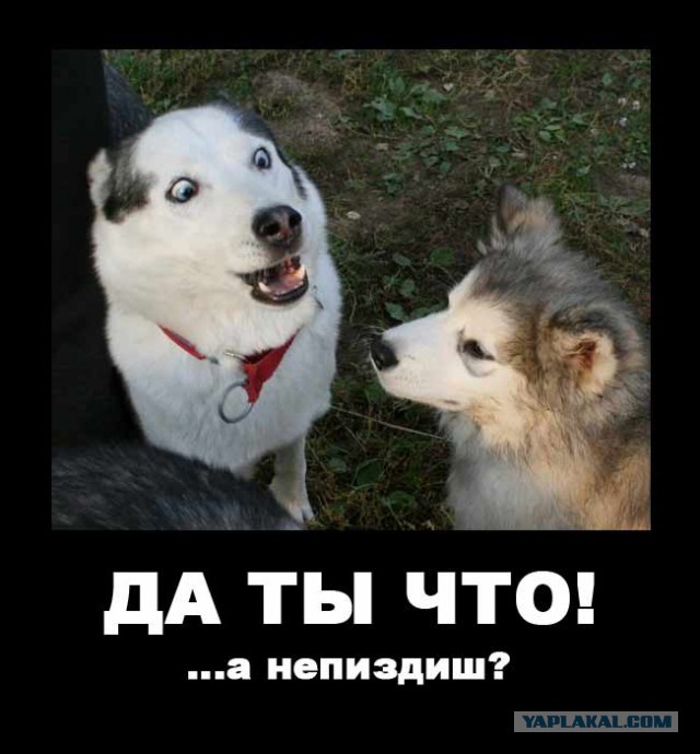 В интернете могут врать?