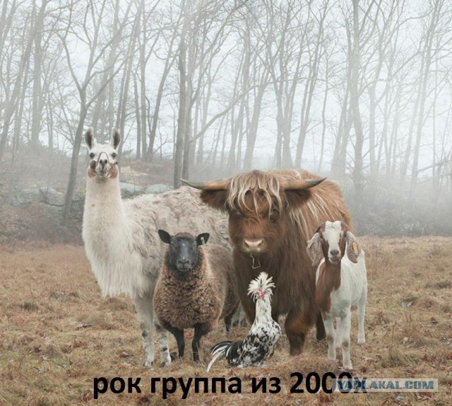 Подборка прикольных и веселых фото