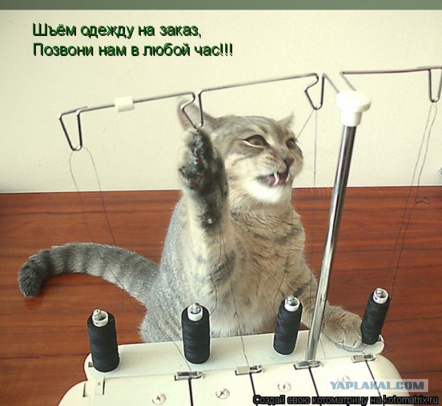 Прошлая жизнь. Швея