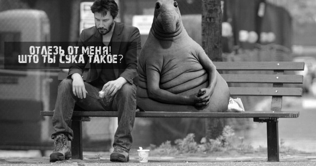 Не совсем светлый юмор