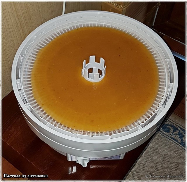 Пастила из антоновки ... ("... крепитесь люди - скоро лето...©"