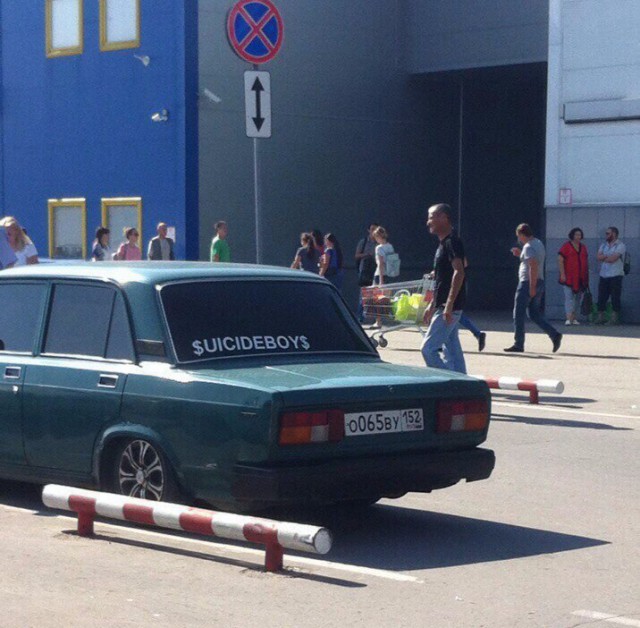 Подборка безудержного веселья
