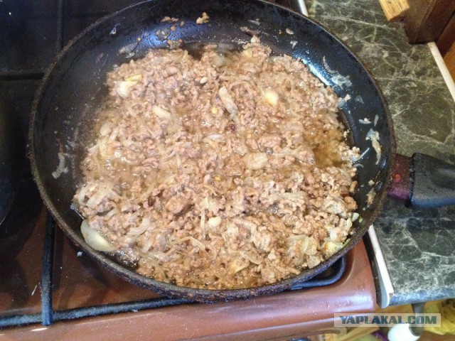 нищебродская кашка, музыкальная
