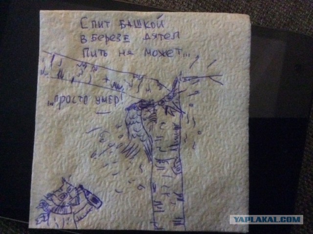 Бьёт башкой в берёзу дятел