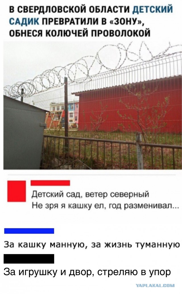 В Петербурге школьницу не пустили на занятия из-за цвета волос