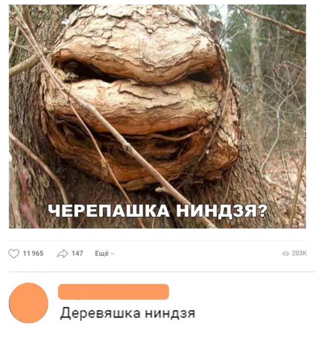 Нестандартный юмор