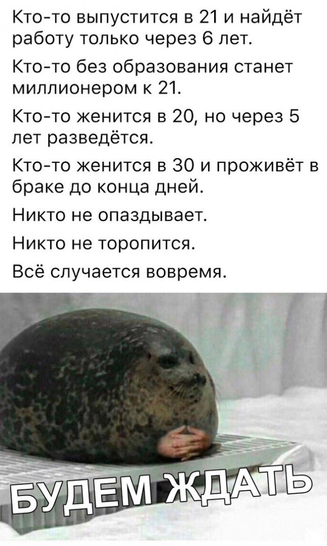 Соц-сети, анекдоты и картинки с надписями 12.03.19