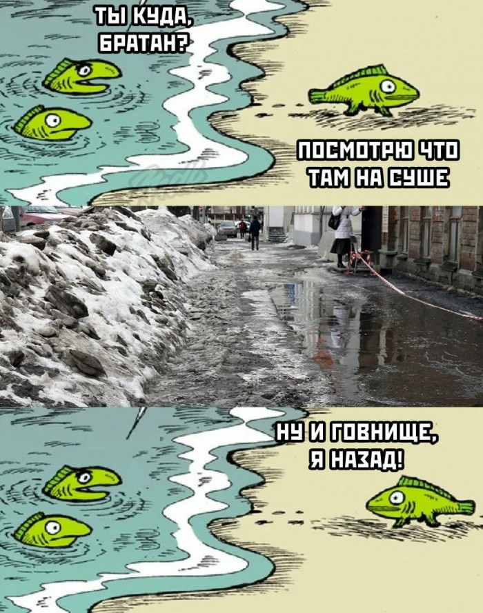 Бредзона 01.03.20