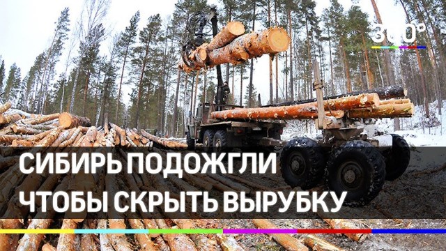 Тихановская выступит перед Совбезом ООН