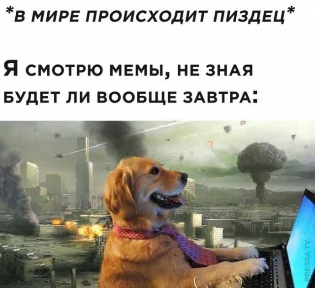 Немного картинок для настроения 05.11.20
