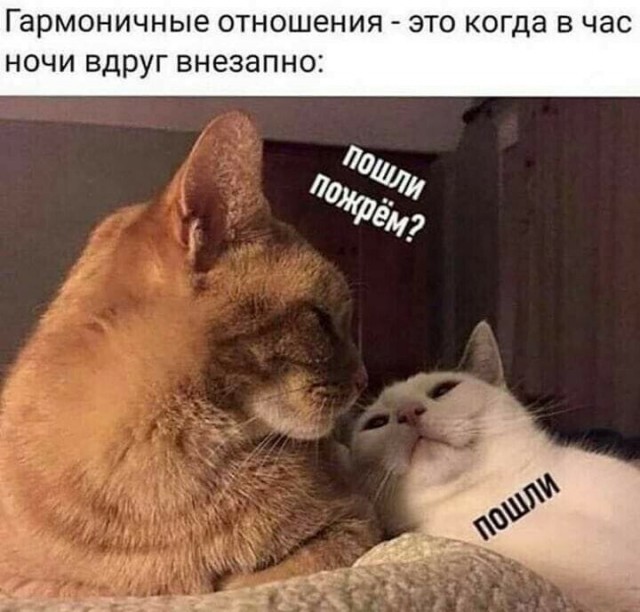 Боянистые картинки 07.12.20