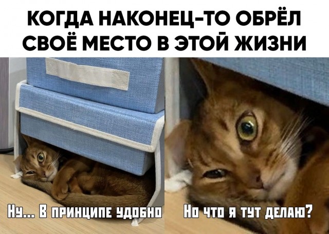 Так себе картинки 05.04.21