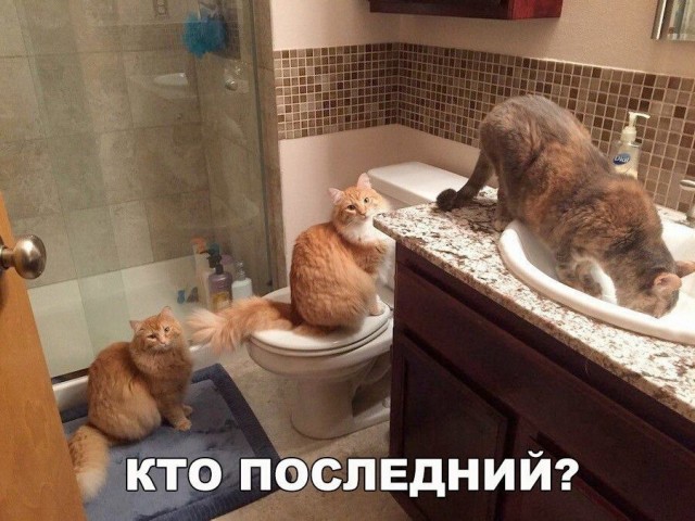 Так себе картинки 13.08.21