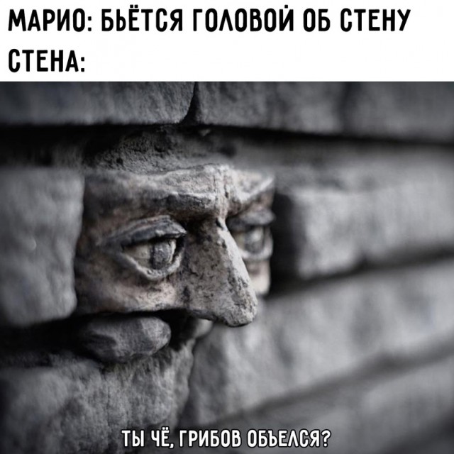 Весёлый полтишок 15.09