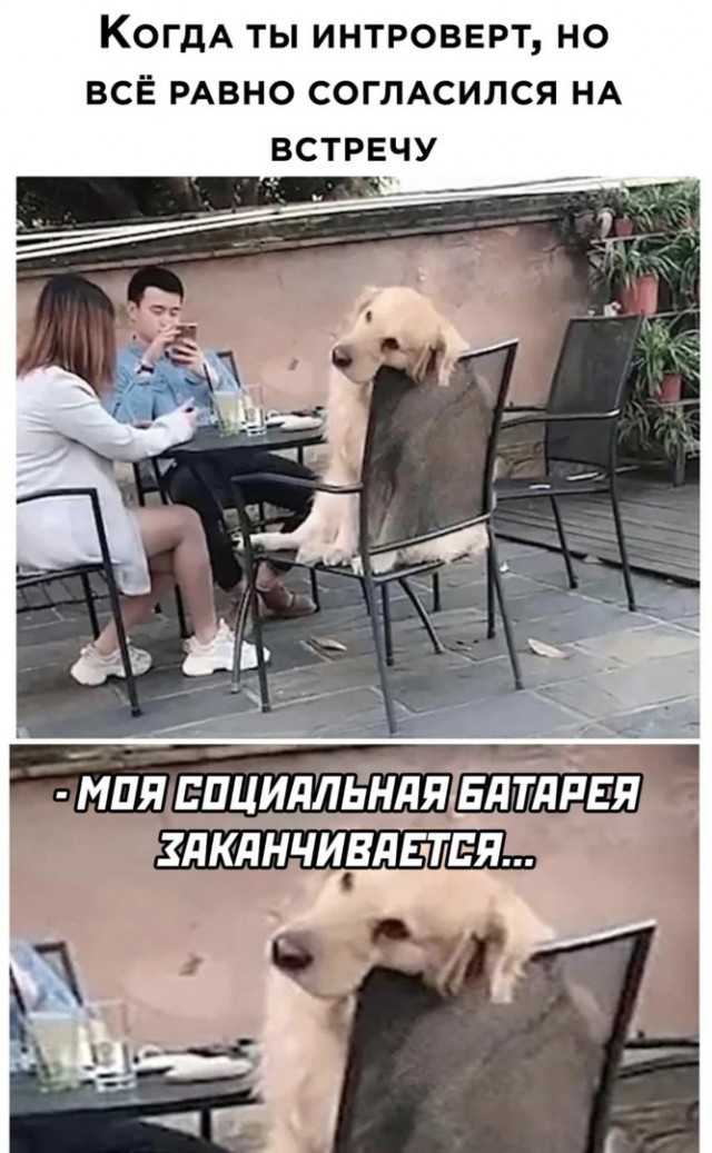 Картинки и мемы для настроения 12.10.2021