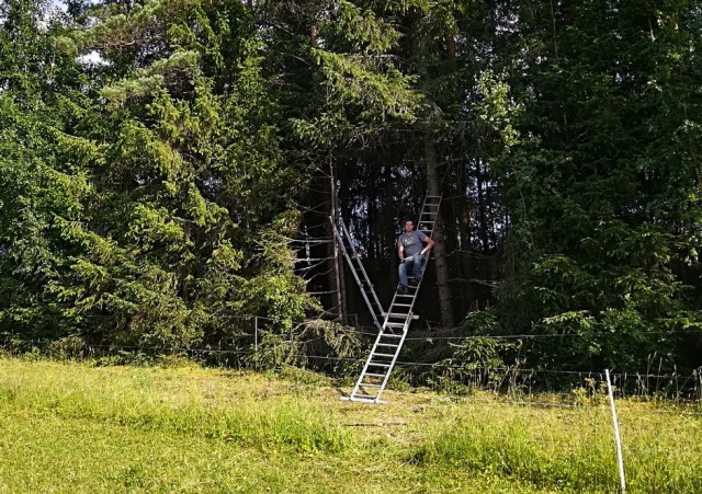 16 случайных фотографий, которые становятся только страннее, если долго на них смотреть