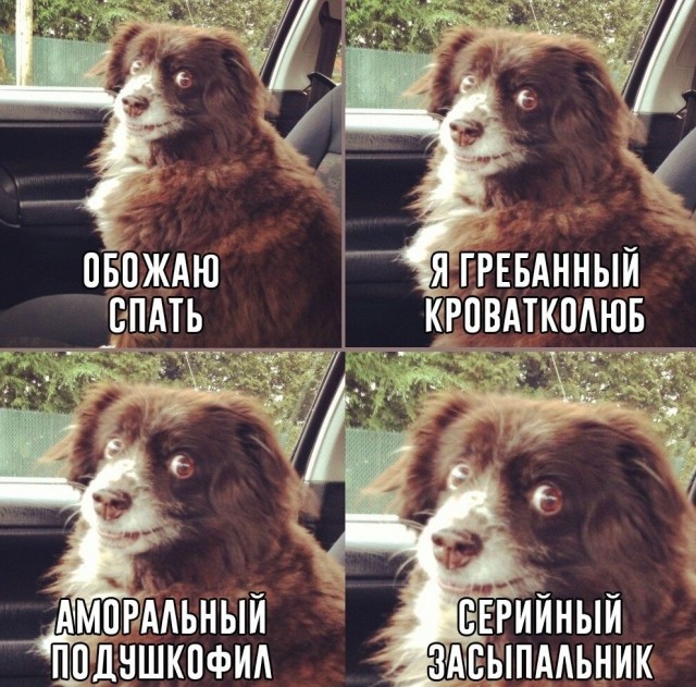 Так себе картинки 18.04.22
