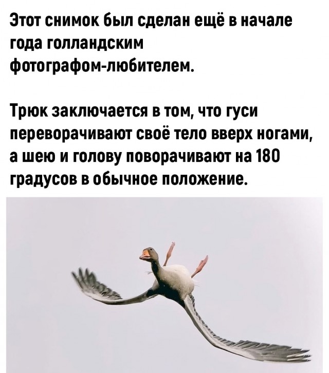 Так себе картинки 10.06.22