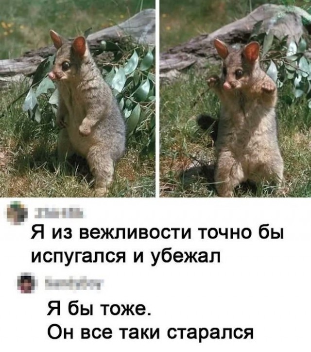 Картинки и мемы. Выходные близко, близко...