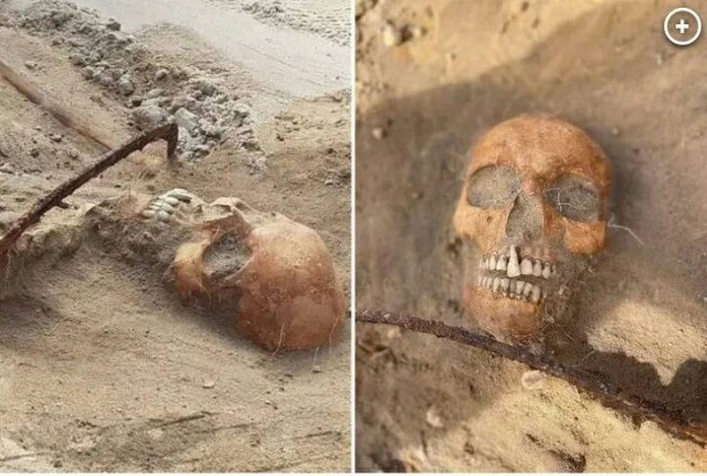 В Польше нашли могилу «вампирши» из XVII века. Ей приставили серп к горлу, чтобы она не восстала из мёртвых