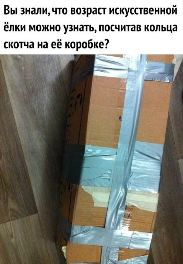 Не бейте баяниста - играет, как может