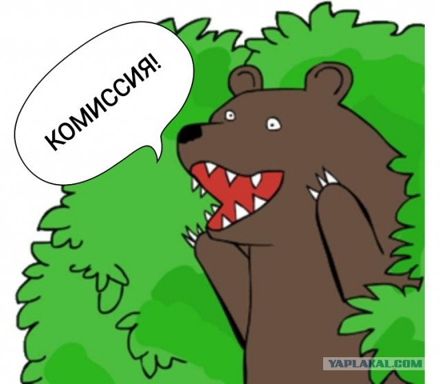 Медведева назначили на новую должность
