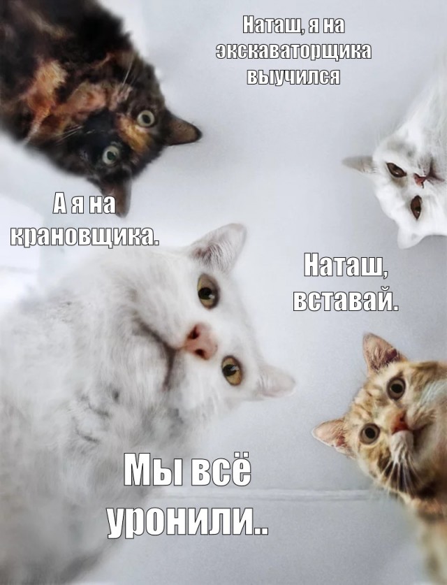 Экскаватор уронили