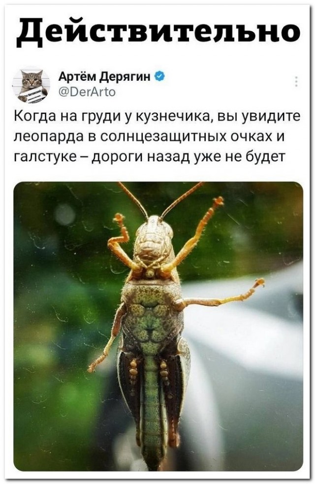 Забавные комментарии из социальных сетей (26.06.23)