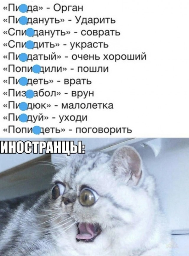 Так себе картинки 01.10.23