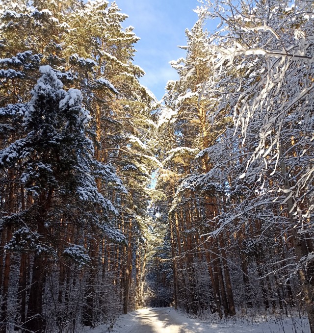 Красивые фото ЯПа