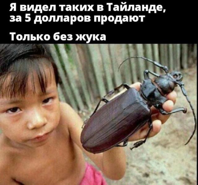 Всего понемногу. От 21.03.24
