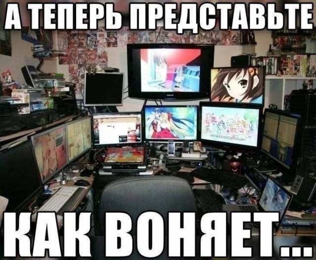 Всего понемногу. От 12.05.2024