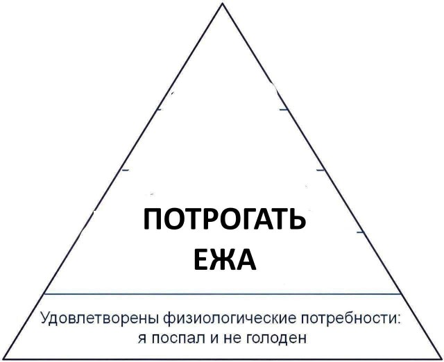 Всего понемногу. От 21.06.2024