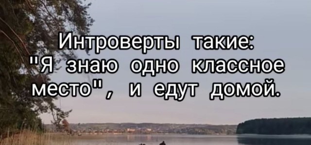 Всего понемногу. От 24.07.24
