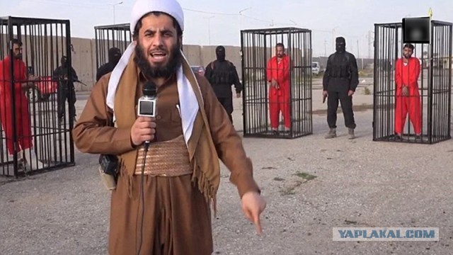 Антиправительственные силы достигли окраин Пальмиры