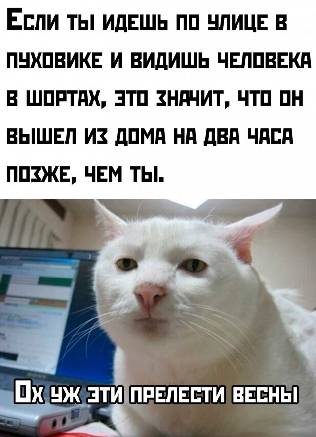 Так себе картинки 14.03.25