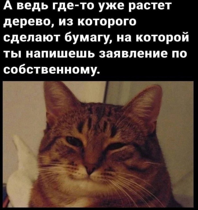 Так себе картинки 24.05.25
